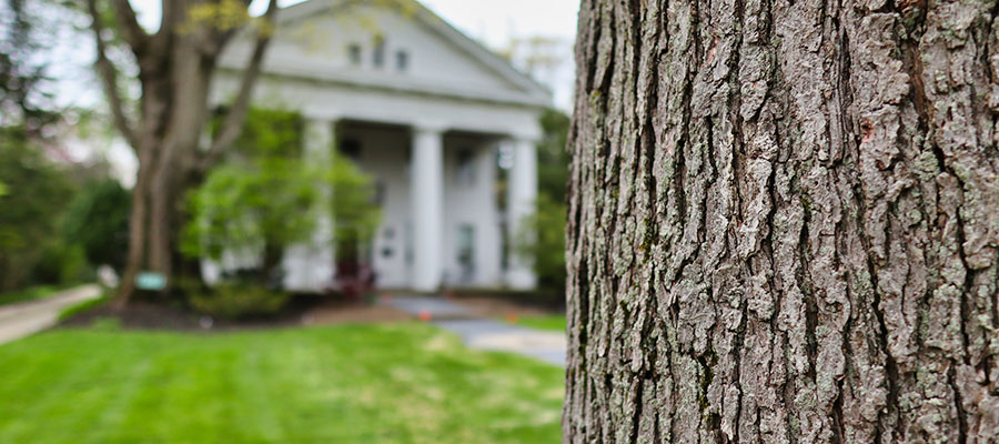 cleveland heights tree company shrub spacing