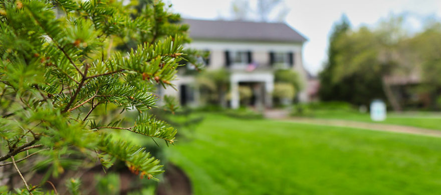 cleveland tree company services