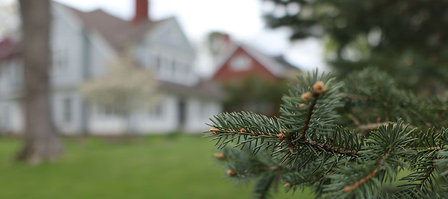 hunting valley tree service company