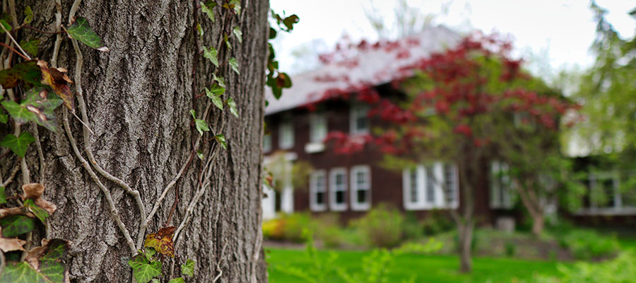 tree company in hunting valley ohio